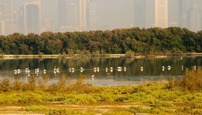 Plan a pleasant visit in Dubai