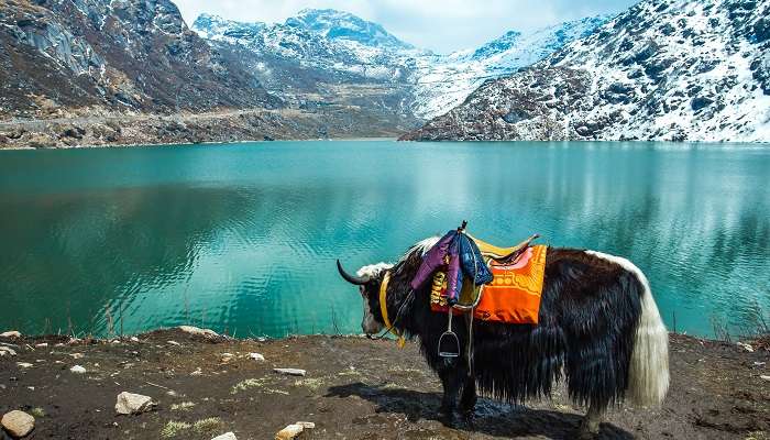 La vue de lac Tsangmo, Sikkim, C’est l’une meilleurs endroits à visiter en février en Inde