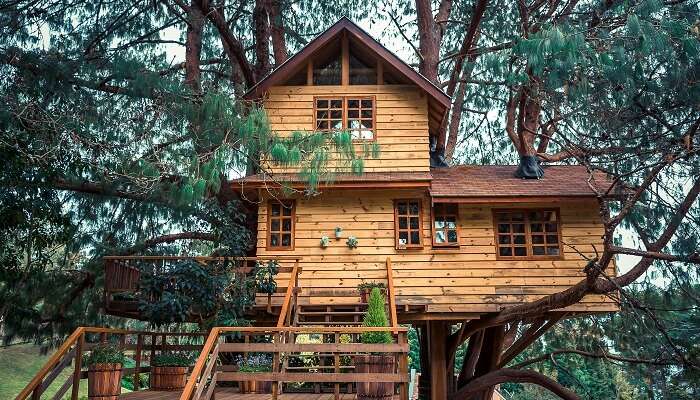 The Tree House resort, l'une des meilleurs complexes hôteliers près de Delhi