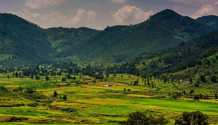 Belle vue sur la vallée d'Araku,