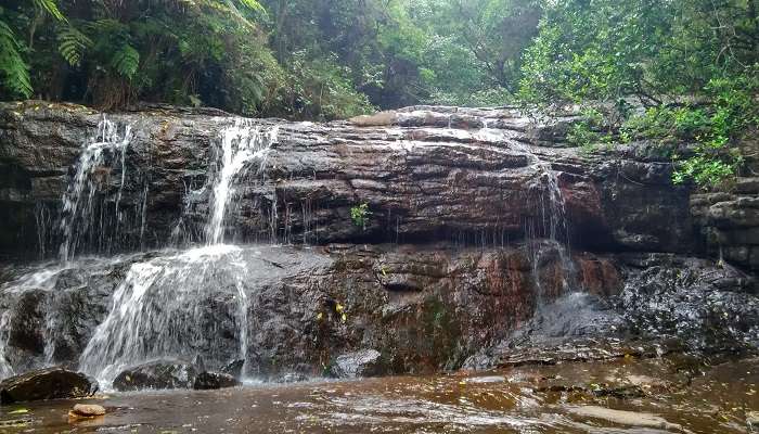 Vattakanal, Tamil Nadu, C’est l’une des meilleurs lieux touristiques en Inde du Sud pendant l’été