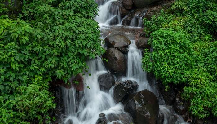 अंबोली गर्मियों में महाराष्ट्र में अवश्य घूमने जाने वाले पर्यटन स्थलों में से एक है