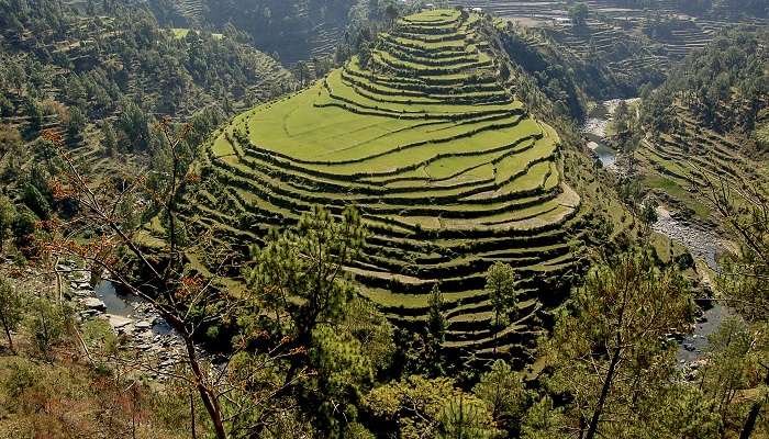 अल्मोडा भारत का एक लोकप्रिय हिल स्टेशन है