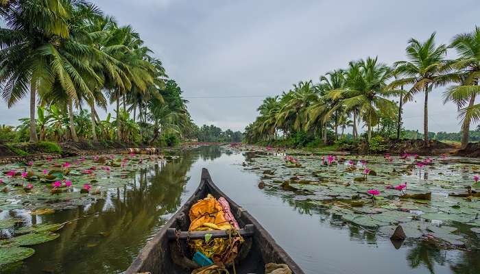 कुमारकोम भारत में सर्वश्रेष्ठ हनीमून स्थल में से एक है