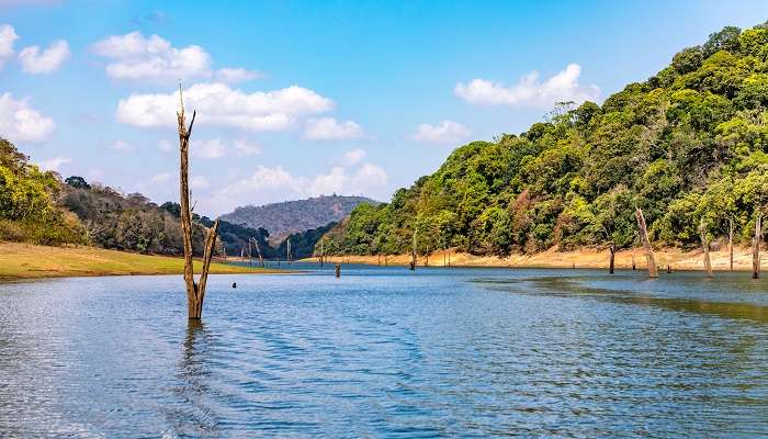 केरल में घूमने के लिए सबसे अच्छी जगहें में से एक कुमिली है
