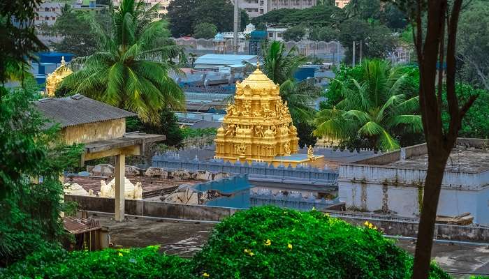 चेन्नई के सभी प्रसिद्ध मंदिरों में से, थिरुमाला तिरुपति देवस्थानम मंदिर है