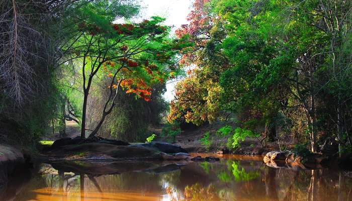 मासिनागुडी अप्रैल में भारत में घूमने की जगहें में से एक है