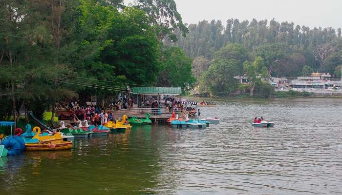 यरकौड भारत के सर्वश्रेष्ठ हिल स्टेशन में से एक है