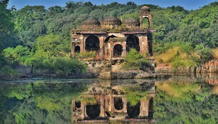 रणथम्भौर भारत में सर्वश्रेष्ठ हनीमून स्थल में सबसे अच्छी जगह है