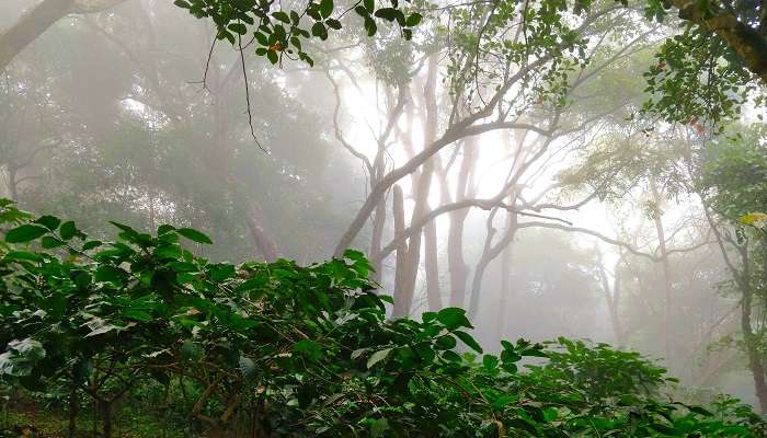 लम्बासिंगी आंध्र प्रदेश में घूमने के लिए सबसे अच्छी जगह है