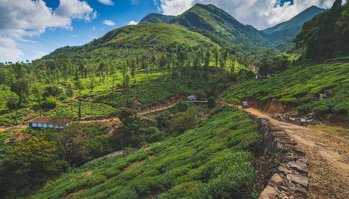 गर्मी के मौसम में वायनाड घूमने के लिए सबसे अच्छी जगह है