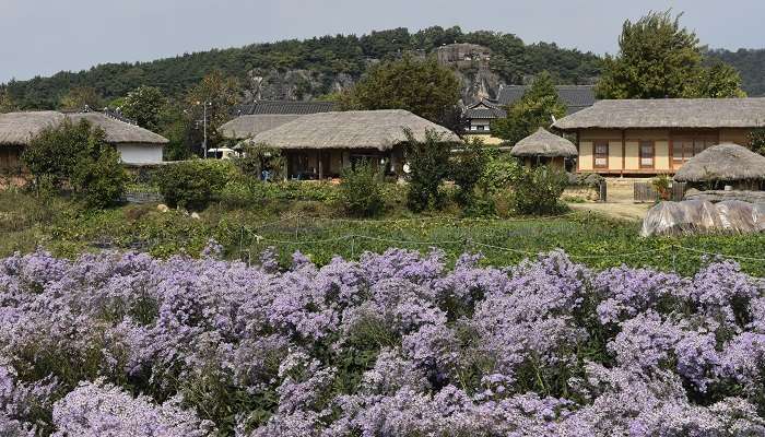 A mesmerising view of Andong which is one of the best small towns in South Korea