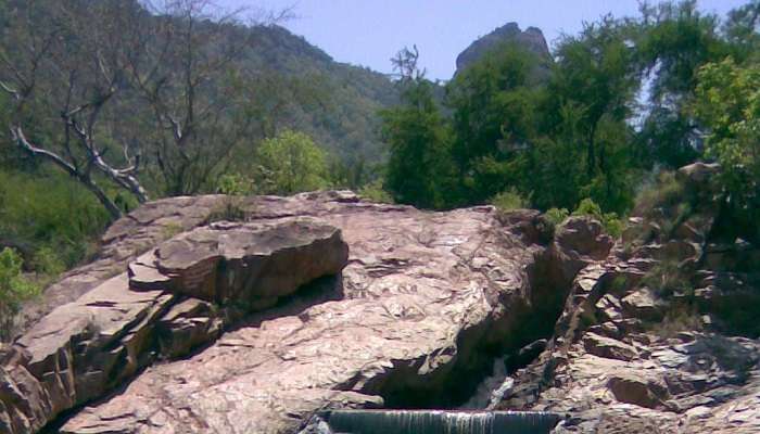 अमिरथी जूलॉजिकल झरने येलागिरी में पर्यटन स्थल में से एक हैं