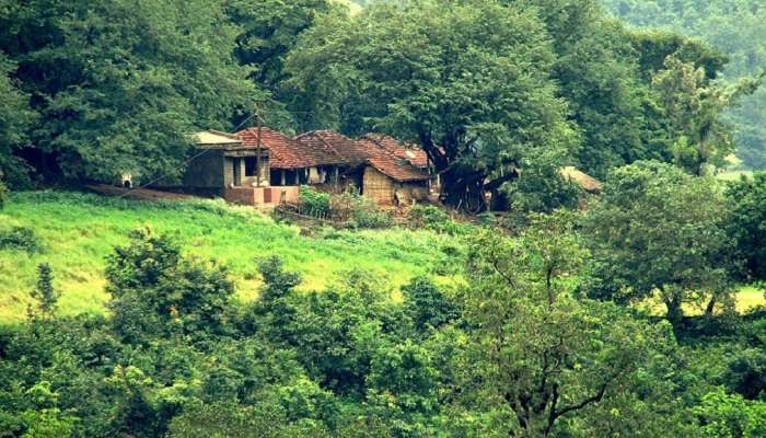 अराकू घाटी हैदराबाद के पास हिल स्टेशन में से एक है