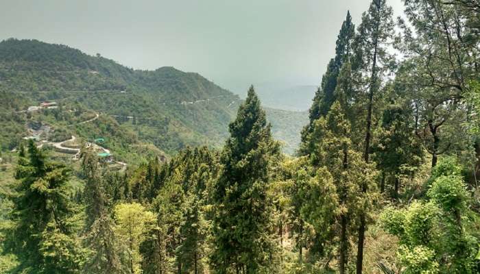 दिल्ली के पास घूमने योग्य स्थान में से एक कनाताल एवं धनोल्टी है