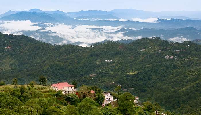 शिमला और चंडीगढ़ के बीच में एक शांत हिल स्टेशन कसौली है