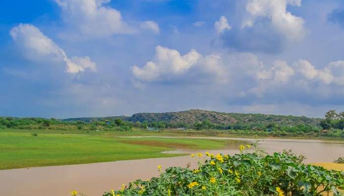 दमदमा झील दिल्ली के पास घूमने योग्य स्थान में से एक है