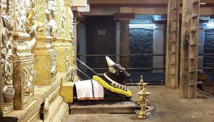 नंदी मंदिर को 'डोड्डा बसवना गुड़ी' या 'द बुल टेम्पल' के नाम से भी जाना जाता है