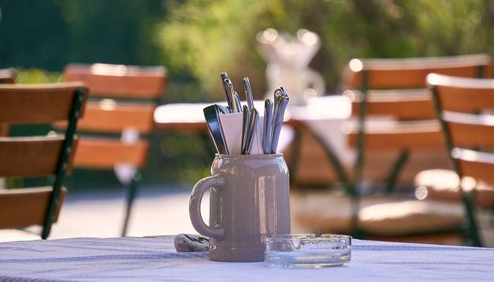दिल्ली के पास घूमने योग्य स्थान में से एक बोटेनिक्स नेचर रिज़ॉर्ट है