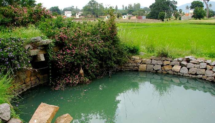 येलागिरी तमिलनाडु का एक पहाड़ी गांव है