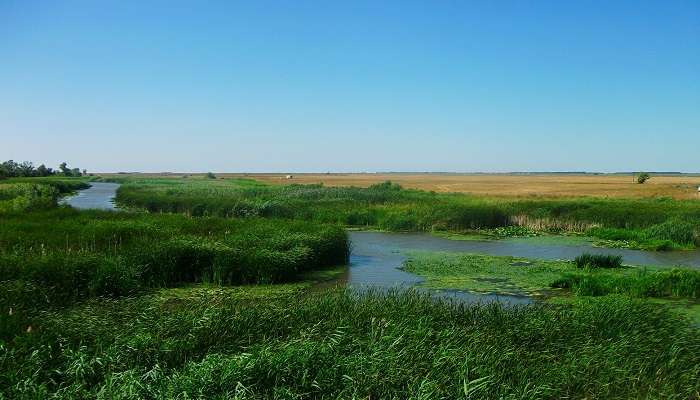 La vue de Fleuve Hortobagy, c'est l'une des meilleurs endroits à visiter en Hongrie