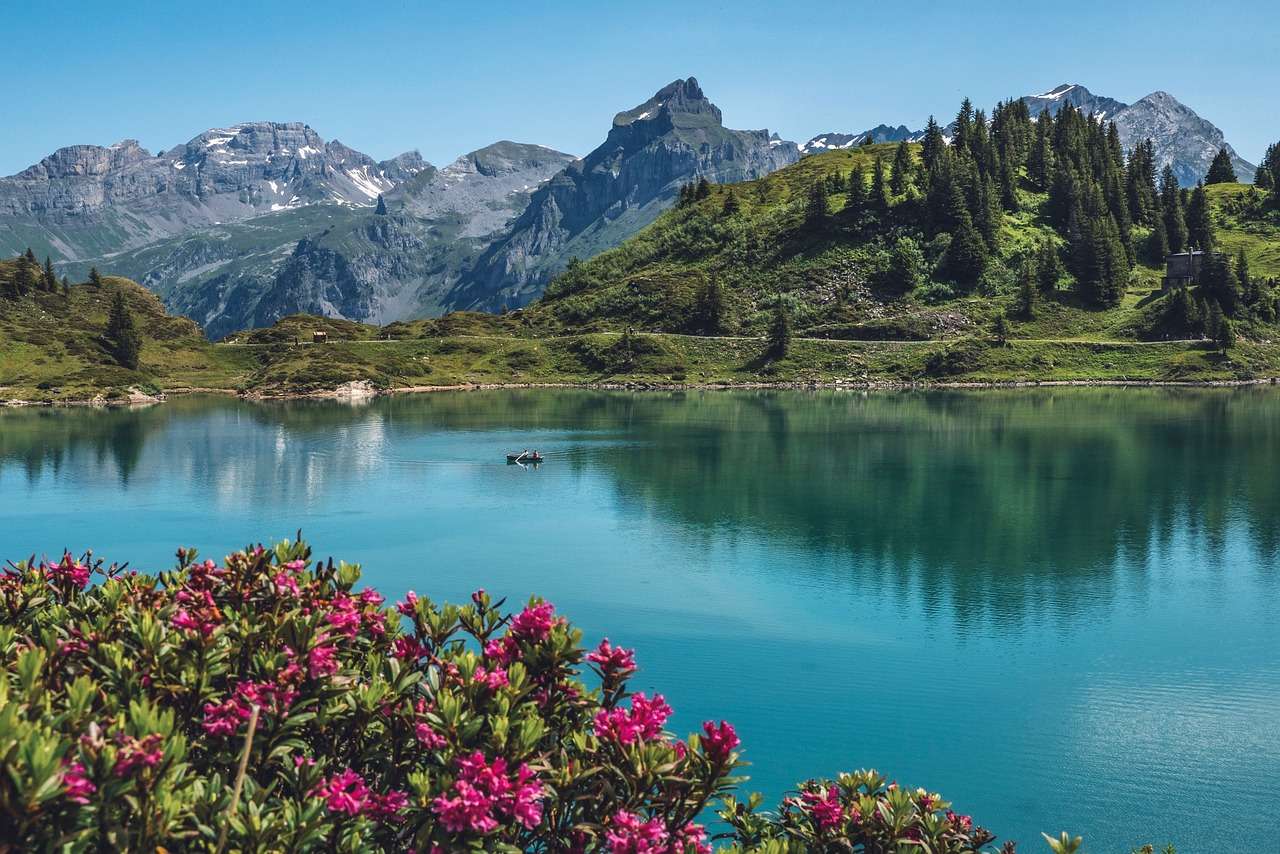 Le meilleur de la Suisse et de la France