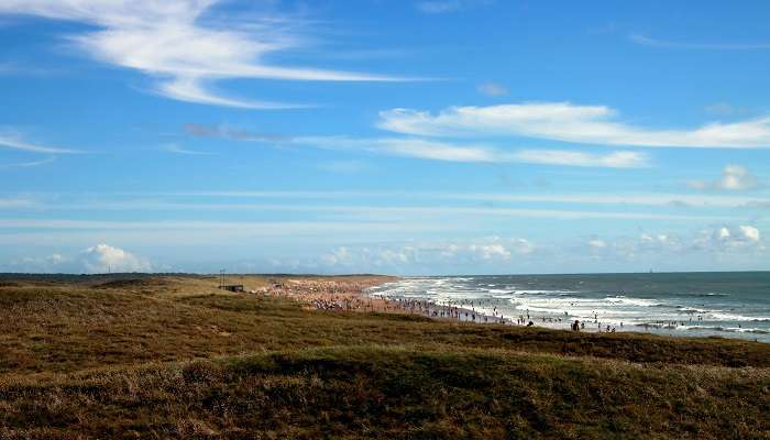 Nager et bronzer dans la mer