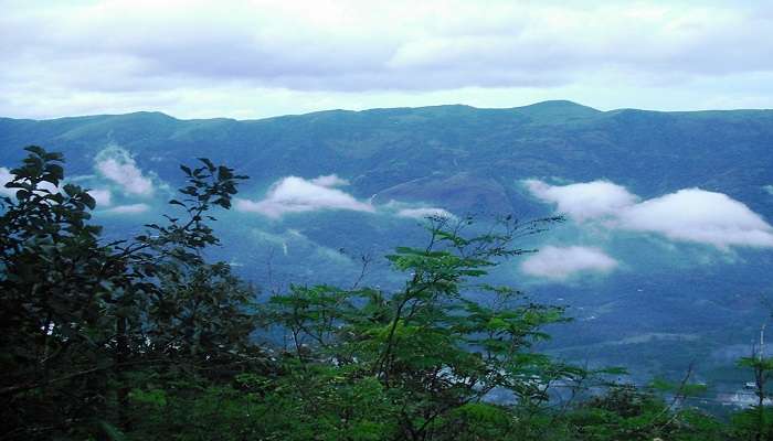 Along with the Malarikkal water lily fields, Kerala is also home to a wide variety of attractions that you must visit as well