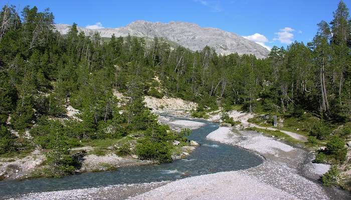 Explorez la parc national suisse, C'est l'une des meilleurs attractions touristiques de la Suisse