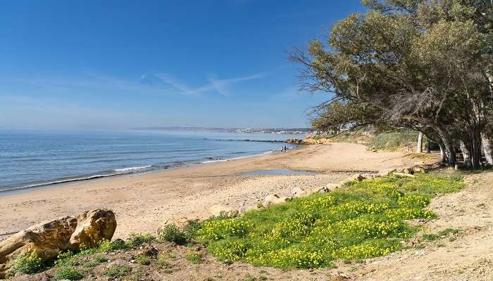 Plage del Cristo, C’est l’une des meilleurs plages en Espagne