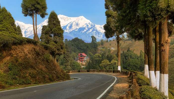 टिनचुले दार्जिलिंग में पर्यटन स्थल है