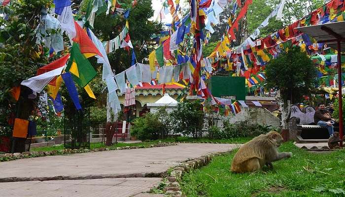 वेधशाला पहाड़ी दार्जिलिंग के सबसे अच्छे पर्यटन स्थलों में से एक है