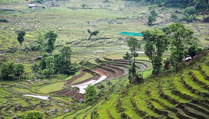 दार्जिलिंग बनाम गंगटोक में घूमने के लिए सबसे अच्छी जगह है