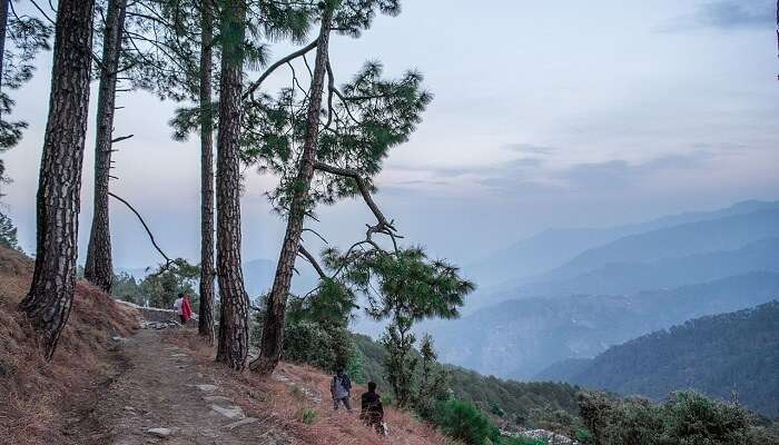 उत्तर भारत में घूमने की जगहें में से एक बिनसर है