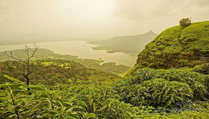 माथेरान भारत में सर्वश्रेष्ठ पारिवारिक छुट्टियाँ बिताने की जगहें है