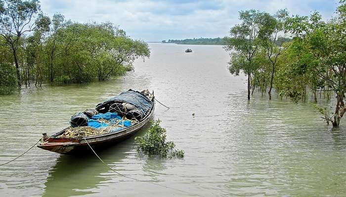 पश्चिम बंगाल में घूमने की जगहें में से एक सुन्दरवन है