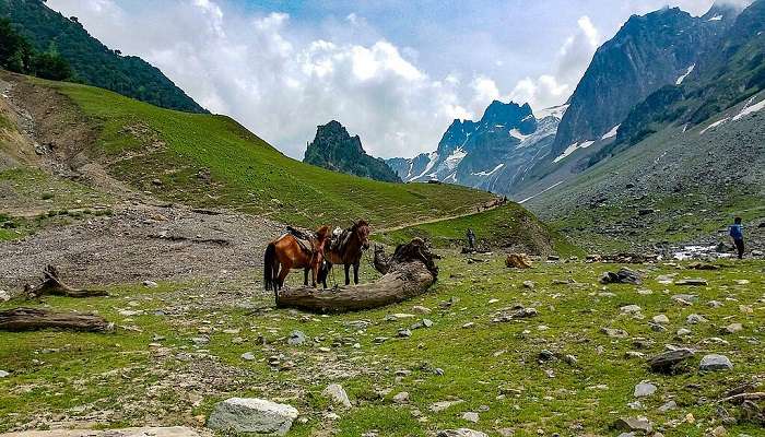 सोनमर्ग कश्मीर में घूमने के लिए सबसे अच्छी जगहों में से एक है