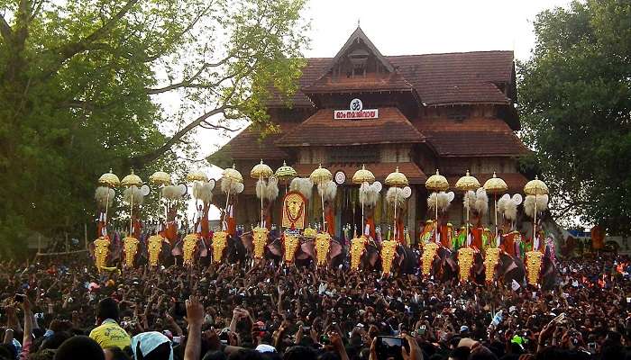 Considered to be the Mother of all Poorams, Thrissur Pooram is a cultural highlight