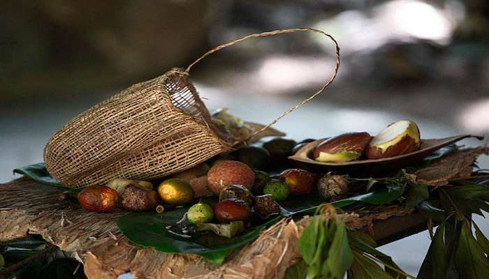 Experience the Aboriginal Culture inside the Currumbin Wildlife Sanctuary