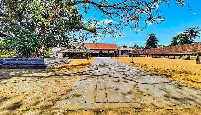 Shri Krishna Swamy Temple near Karumadikuttan Temple