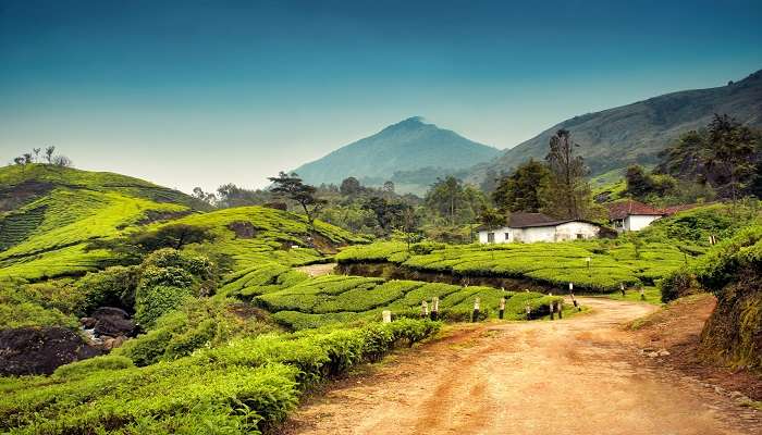 Between the months of October and February, the vibrant blue skies of Kerala to Goa road trip is something to behold
