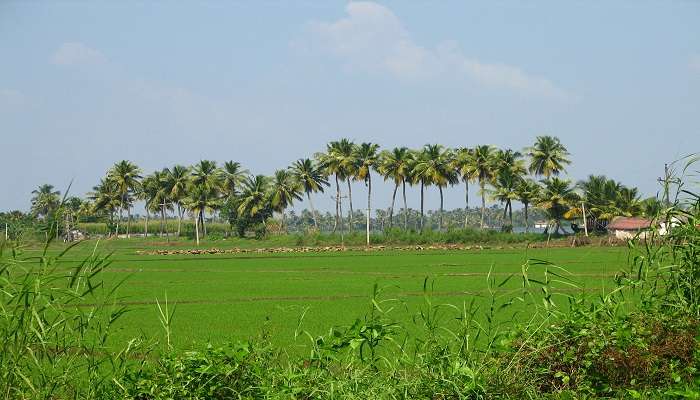 Winter months in Kerala are perfect for visiting Nilakkal Mahadeva Temple