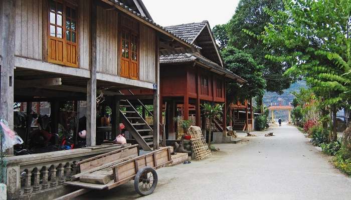An image of Casa Coorg Homestay