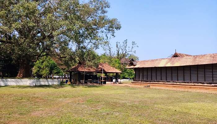 The surreal view of a mandir in Thrissur.