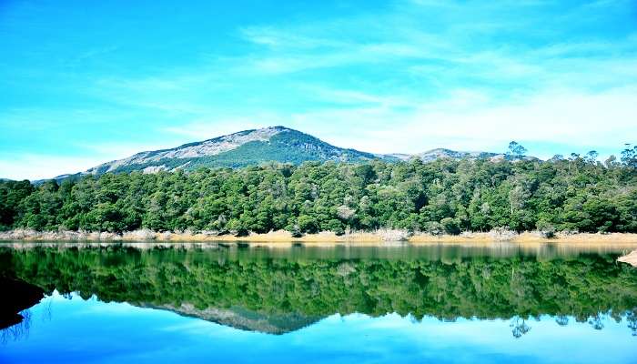 Emerald Lake is one of the offbeat places in Ooty, places to visit in winter in India