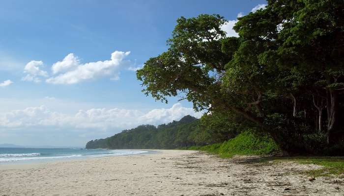 Lalaji Bay Beach, Havelock Island offers beautiful views of the sunset 