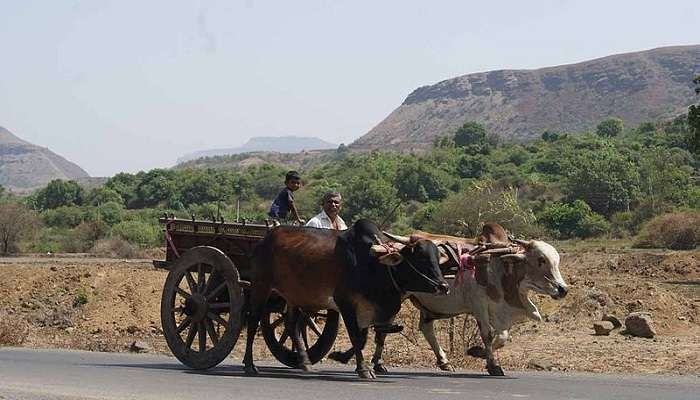 A mesmerising view Ghoti Village