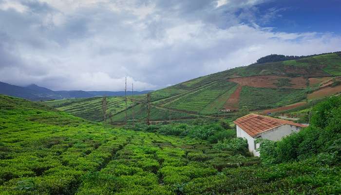 Goa to Coorg road trip