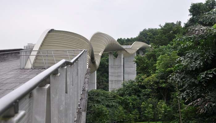 Explorez la Henderson Waves