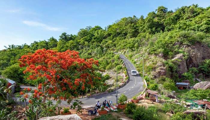 Available local transportation in Kerala to reach Aryankavu Ayyappan Temple